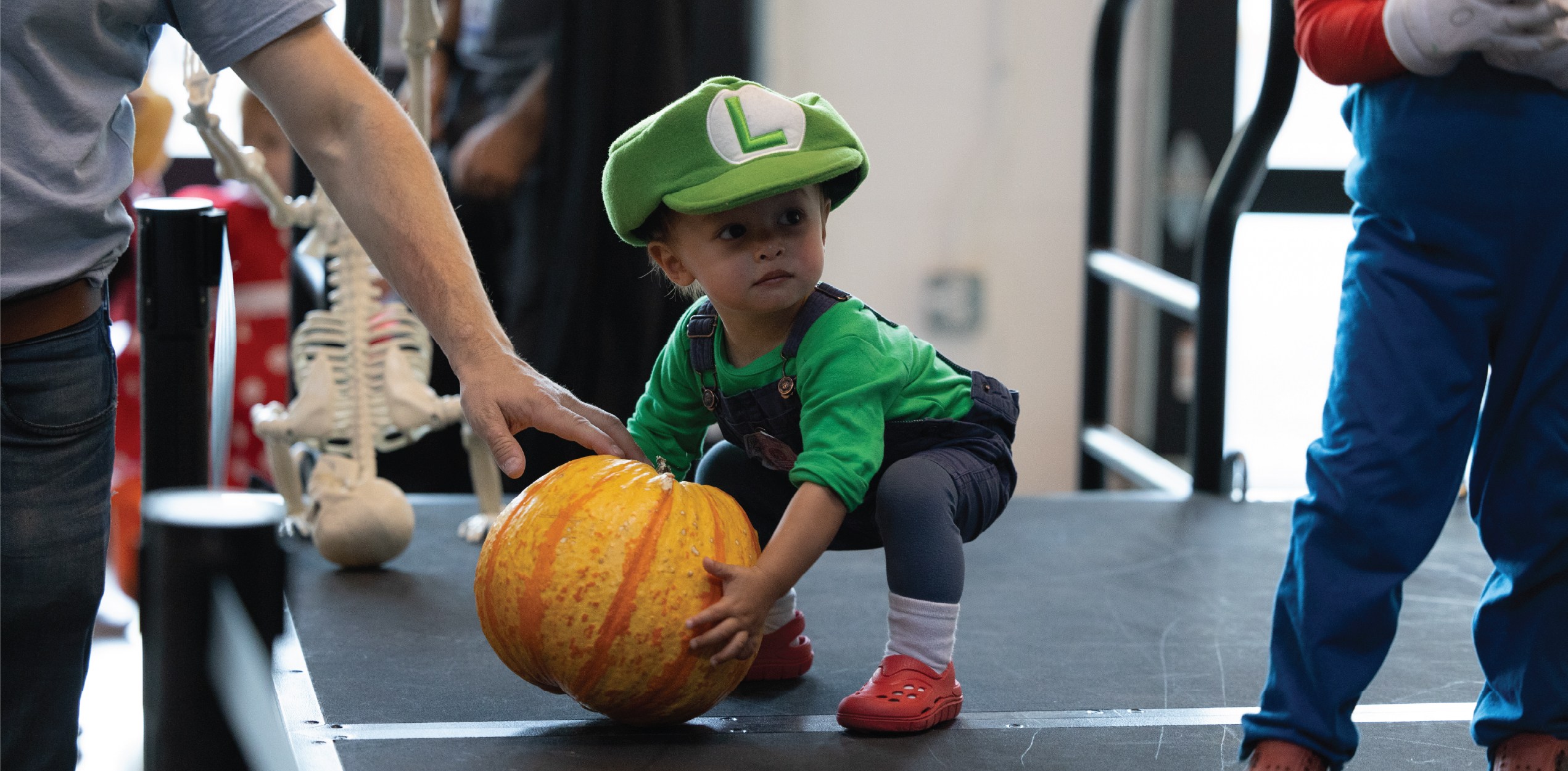 Small child attempting to pick up a pumpkin, nearly equal in size.