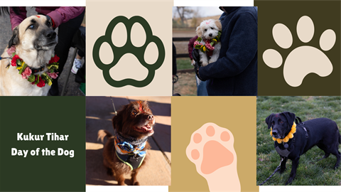 Kukr Tihar Day of the Dog text with images of dogs adorned with flowers