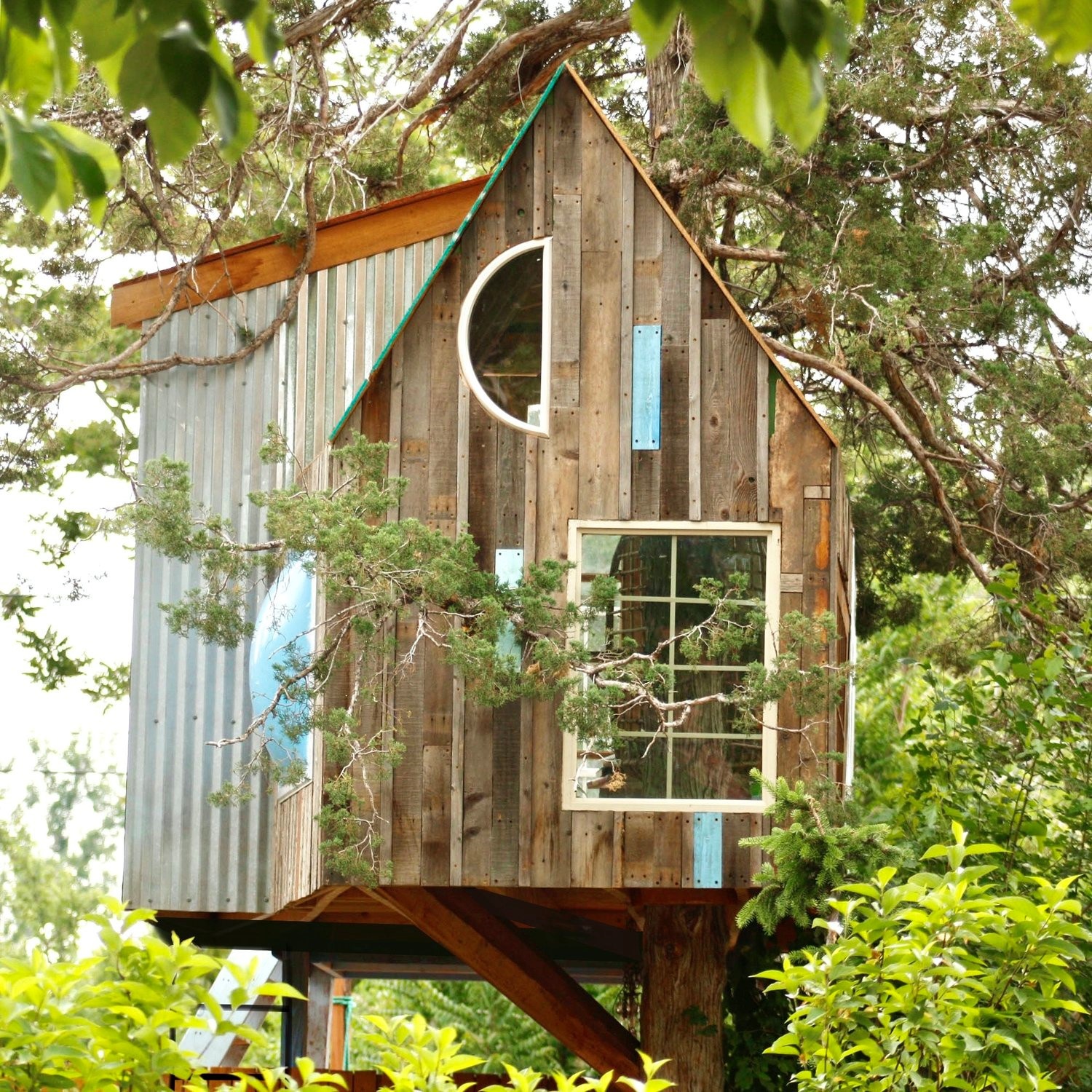 small wooden treehouse nestled in a green leafy tree