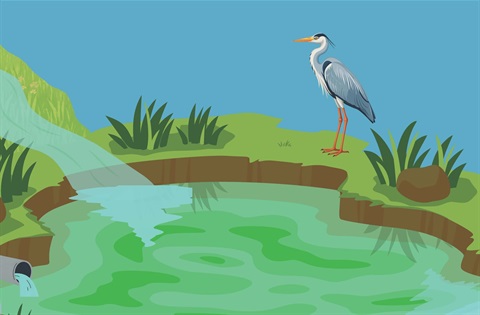 Graphic heron standing over a retention pond.